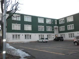 ヴェールの画像