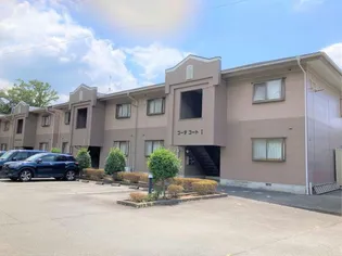 コータコートIの画像