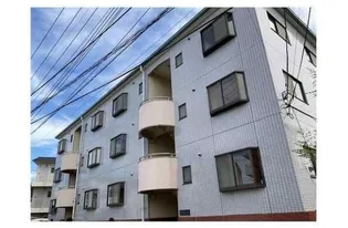 シェモア87の画像