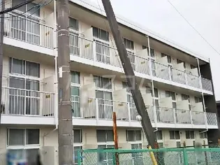 柴IIの画像
