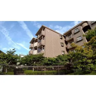 バロールK&Yの画像