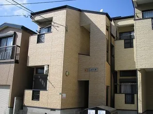 ポラリスひなぎくの画像