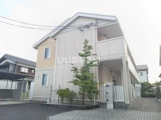 ウィルモア Dの画像