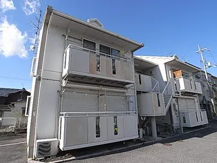 ハイユニメントタミーの画像