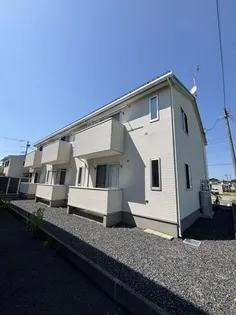 PINO本通りの画像