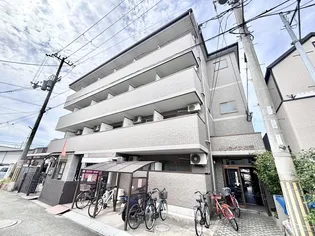 サンライズ柴田 PART1の画像