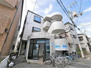 シャイン廣瀬の画像