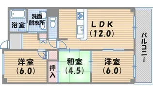 アミューズメント1番館【2階】の間取り