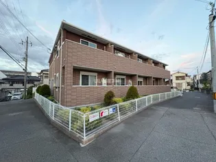 レトル ダ ムールの画像