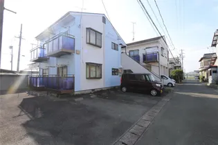 タウニーホワイトベルの画像