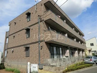 プレミエ ステラの画像