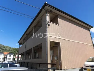 ワンデスの画像