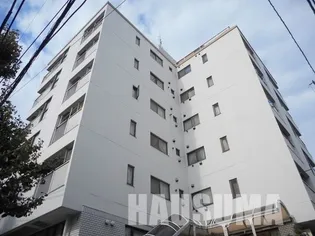 ホワイトヒル清水【5階】の外観