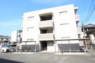 TNスクエア黒髪の画像