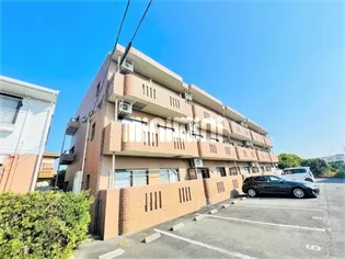 エスペランサ アイの画像