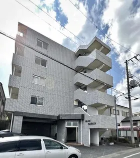 グレイスイセハラの画像