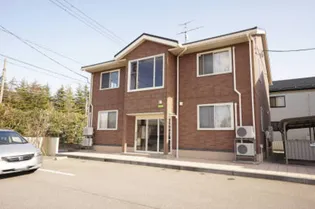 オリーブ Aの画像