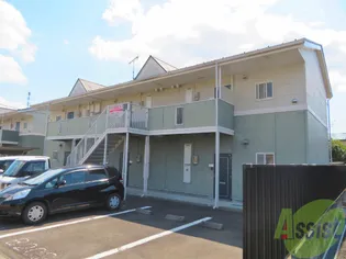 アエダス カストルの画像