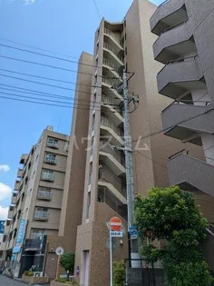 メゾンドわらび【11階】の外観