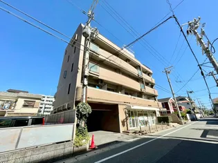 メゾンシャテ-ニュ【5階】の外観