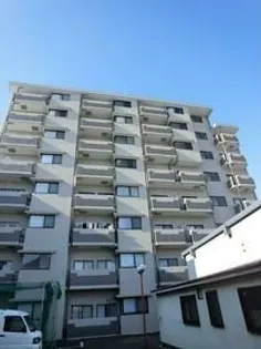 ピエールトゥールの画像