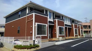 スプラウトの画像