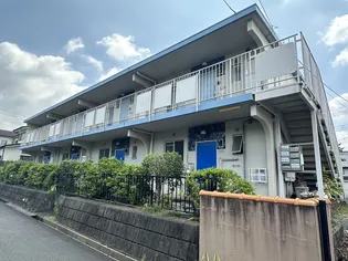 サンホワイトBの画像