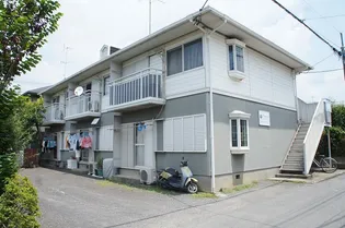 パンプキンの画像