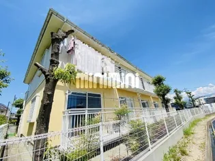 セフィーラ杏里の画像