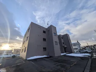 クリオ紅花の画像