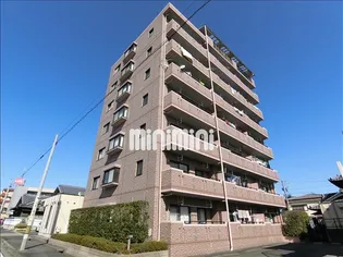 ウッドペッカーの画像