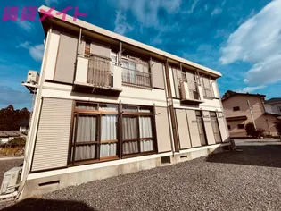 サングリーンの画像