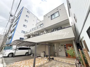 ステラ中央の画像