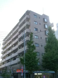 コート イシハラの画像