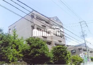 マクセージの画像