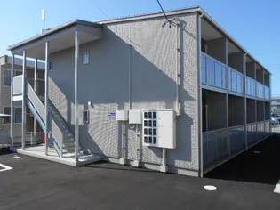 オリーブの画像