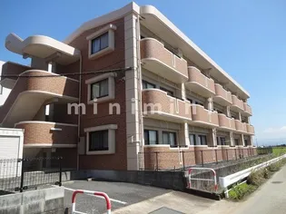 熊本県熊本市南区近見9【アパート】の外観