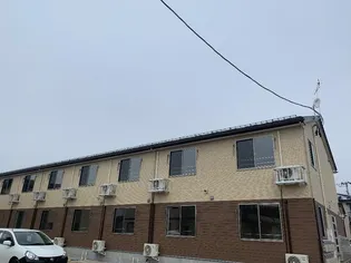 GRACEFUL VIの画像