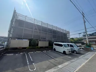 パインルーツ2の画像