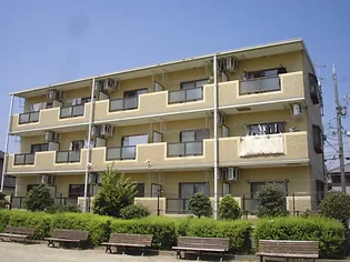 静岡県浜松市中央区初生町【マンション】の外観