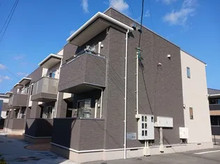 センパフローレンスIの画像