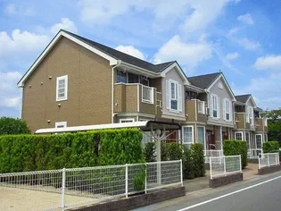 セトルエレガンDの画像