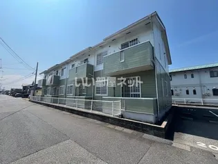 カメリアボアの画像