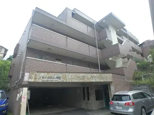 スターダスト麻生の画像