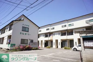 ハイネスカルガリNの画像