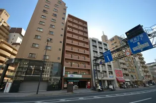センテニアル東平塚【9階】の外観