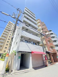 タートルほまれの画像