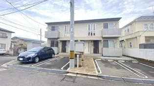 サングラシアスの画像