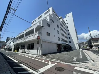 ドルミ庚午の画像