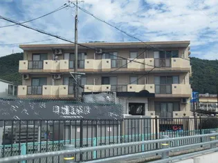 グレース ヒロの画像